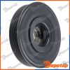Poulie damper vilebrequin pour RENAULT | RKP-RE-016, 04611